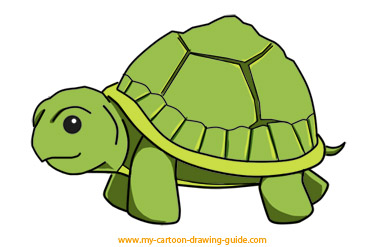 how-to-draw-a-turtle-final-2