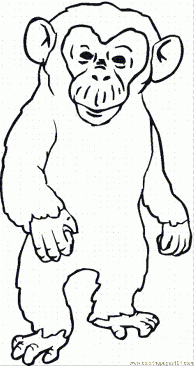 Chimpanzee Pictures For Kids Coloring Pages Coloring Pages For 