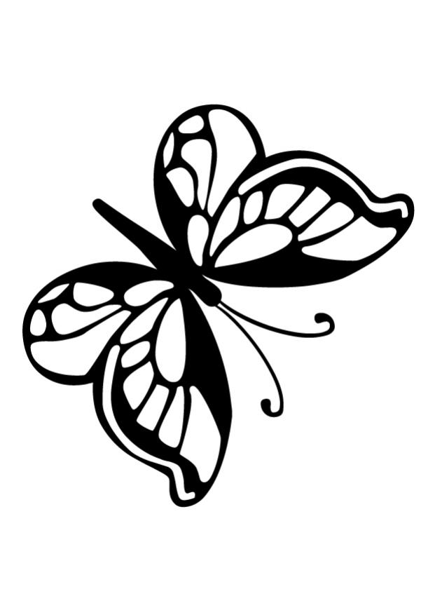 BUTTERFLY coloring pages - Graphic Butterfly