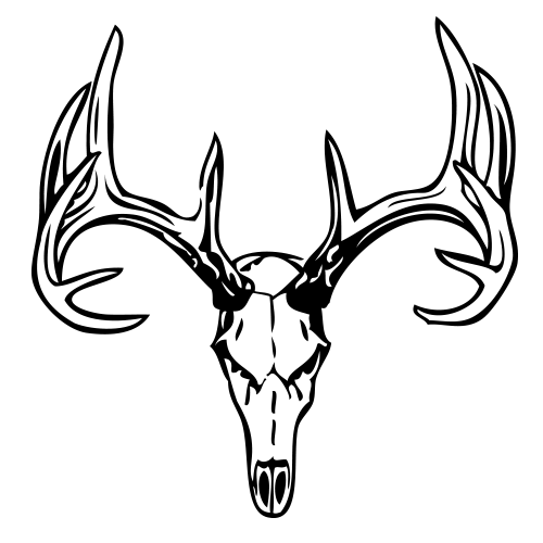 deer head rack sketches coloring pages - photo #22