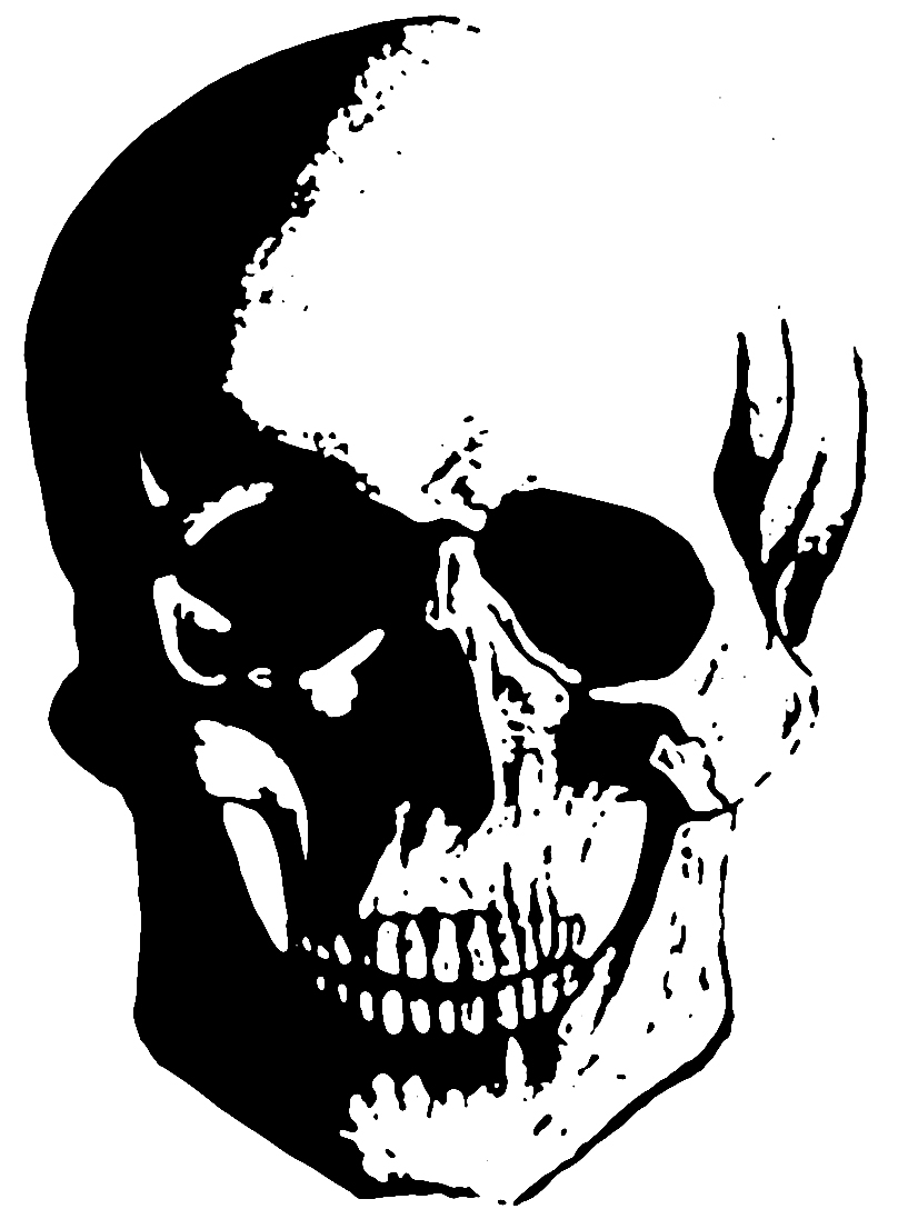 Skull Graphic by my-art-rebirth on Clipart library