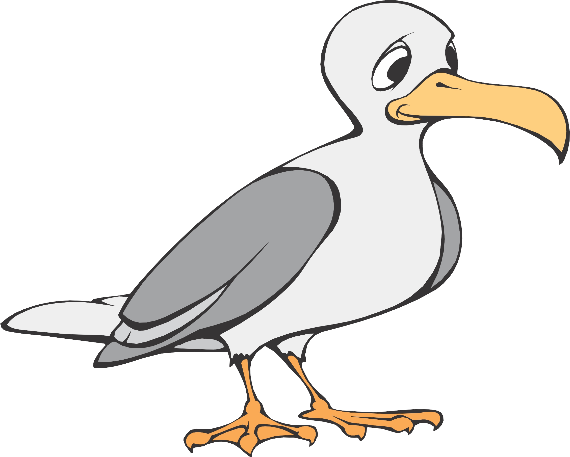 Images For  Clip Art Seagull