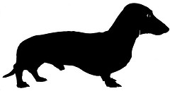 Exif | Miniature dachshund silhouette | Flickr - Photo Sharing!