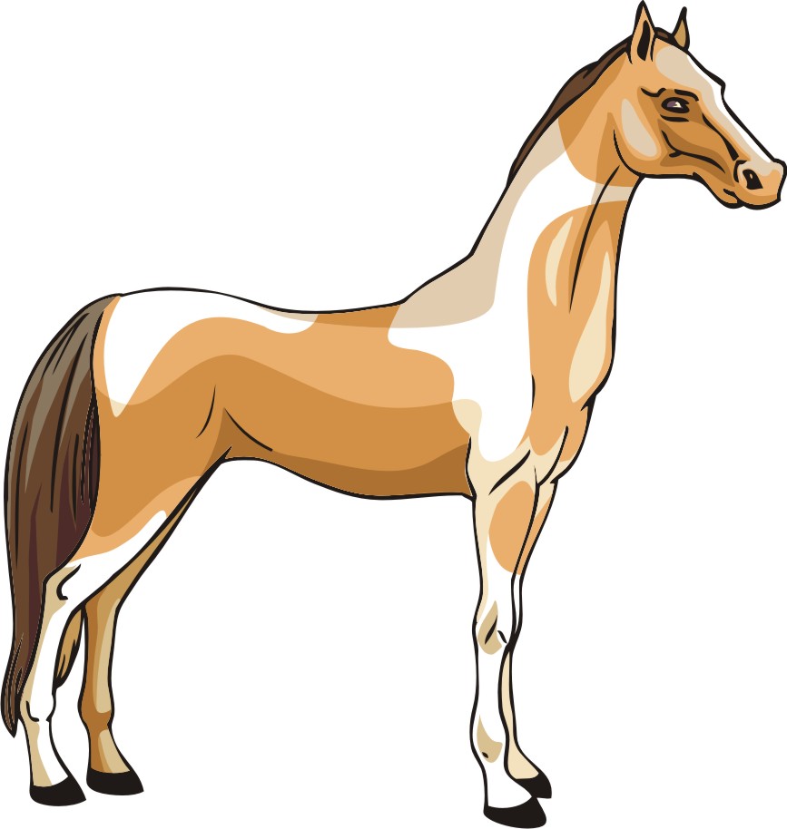 horse clip art free vector - photo #45