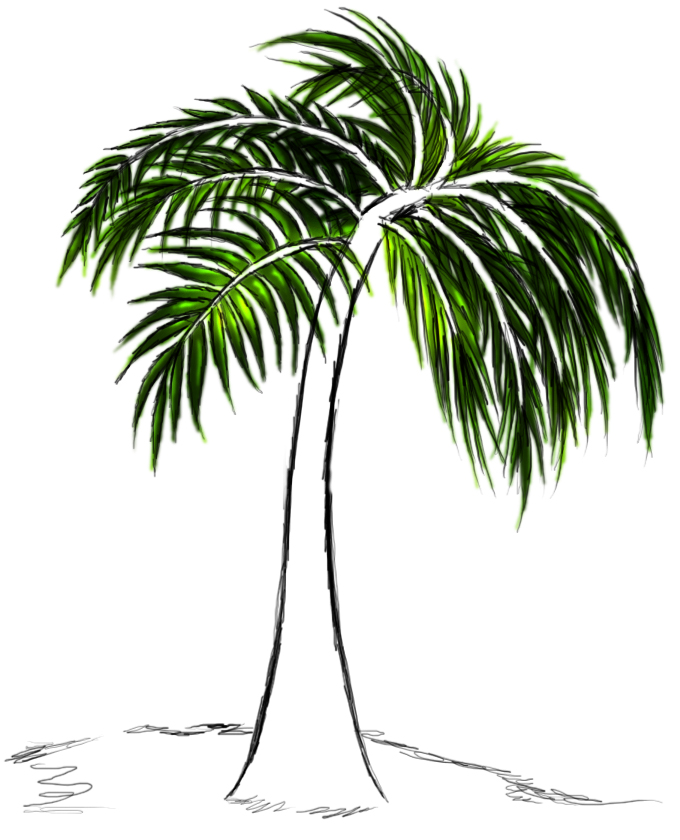 Photoshop Drawing How to make a lush palm tree Tutorial