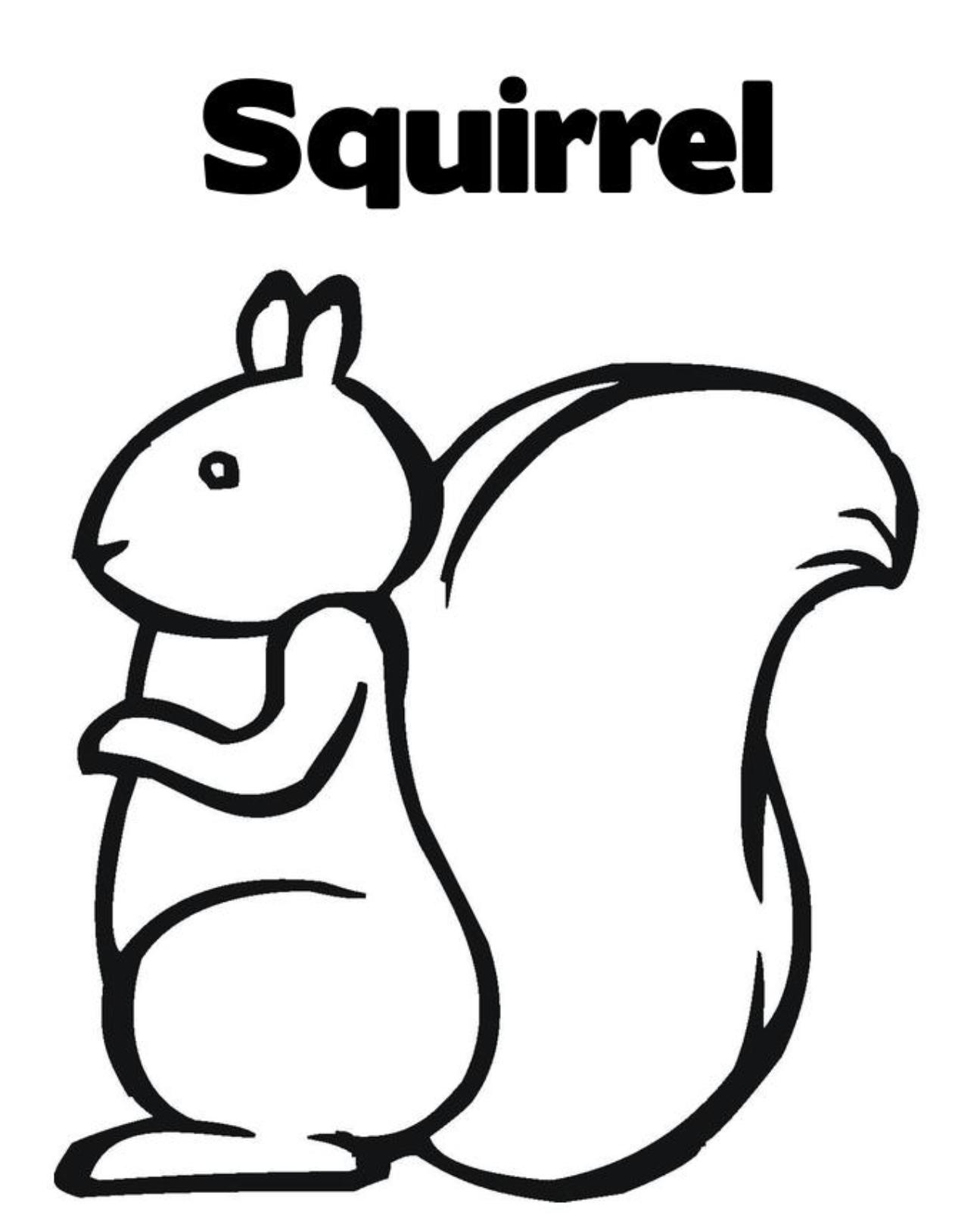 free-squirrel-pictures-to-print-download-free-squirrel-pictures-to