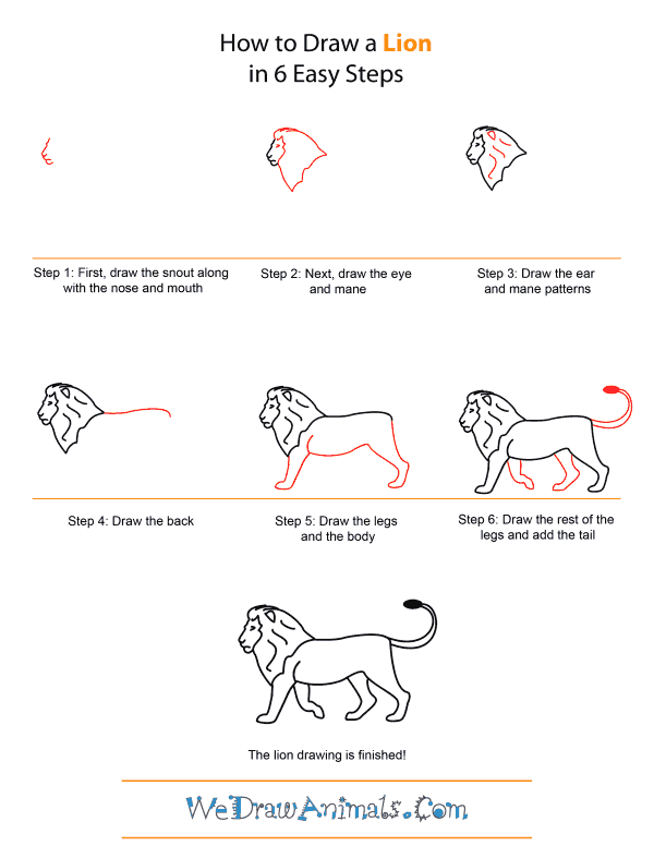 how-to-draw-a-lion-step-by- 