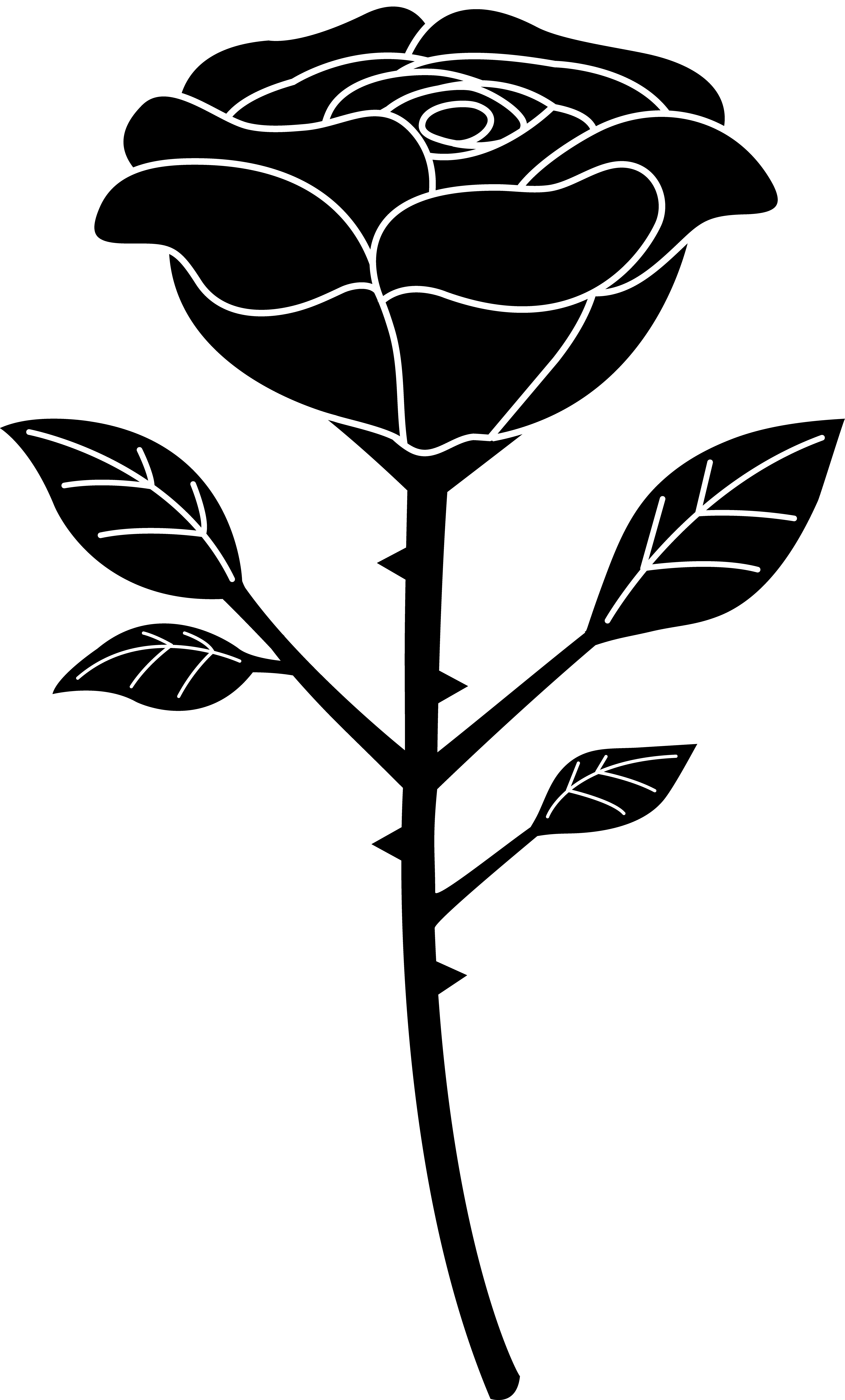 free-rose-black-and-white-outline-download-free-rose-black-and-white
