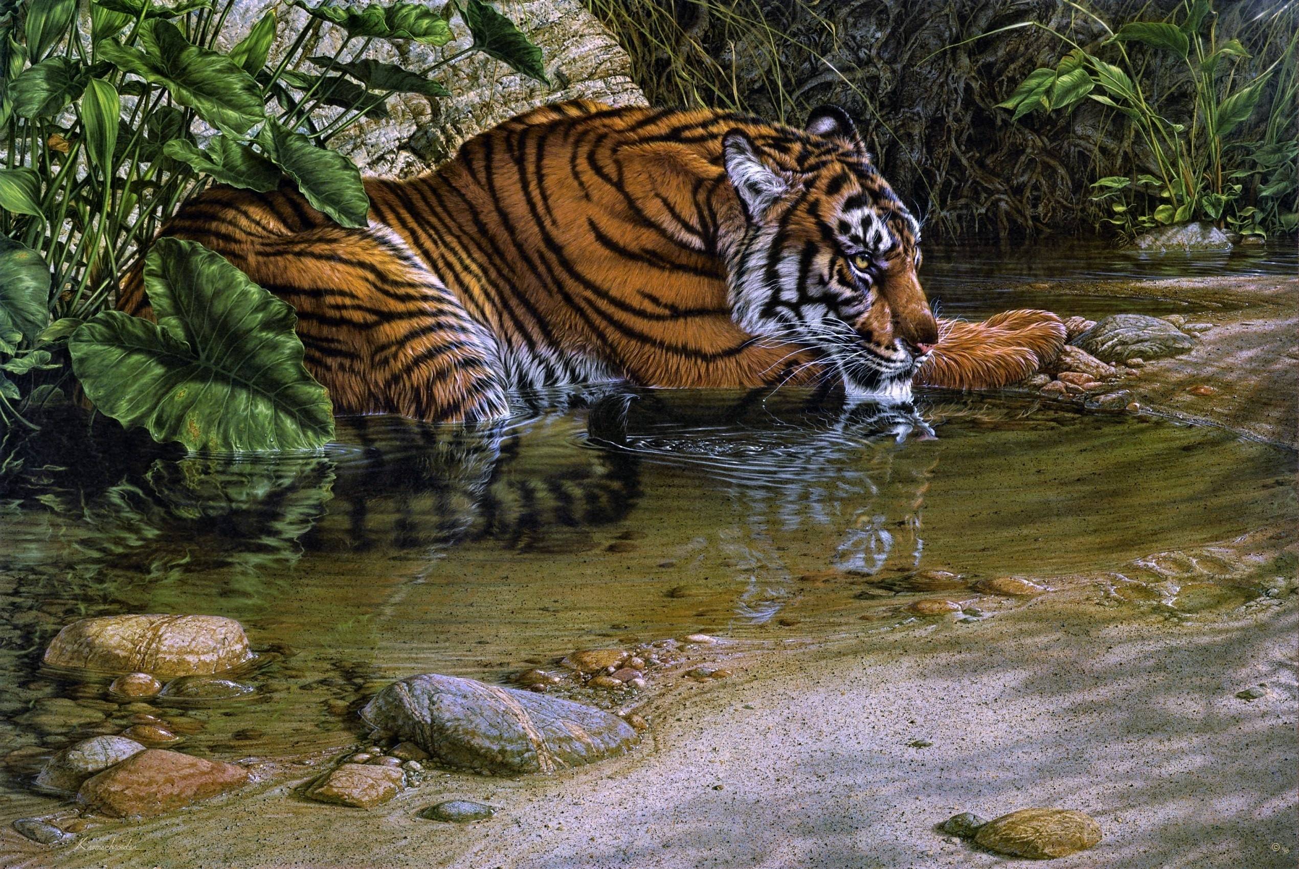 real life jungle animals - Clip Art Library