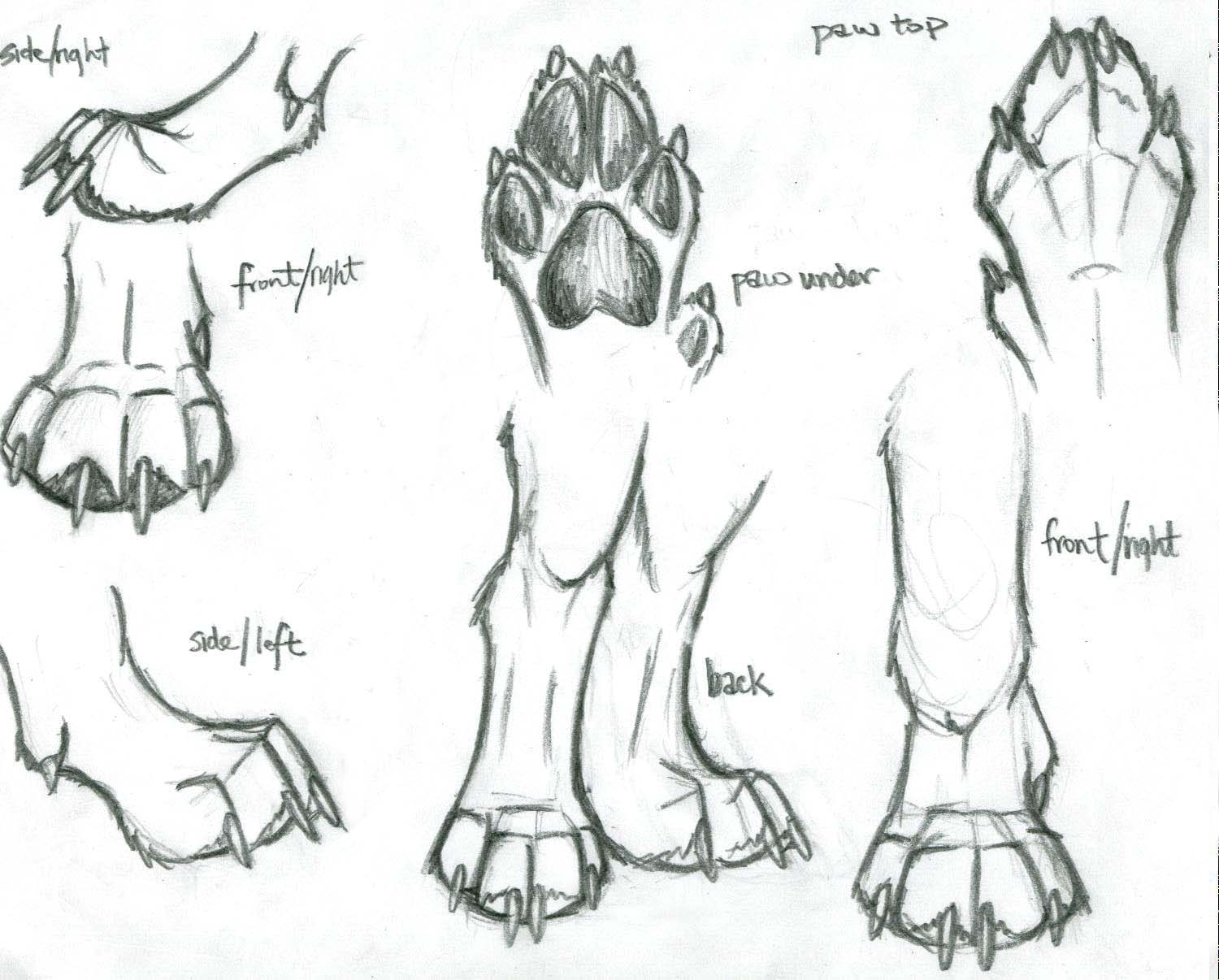Variant deformation Banzai wolf paw drawing - Clip Art Library