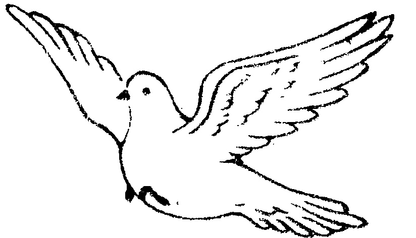 BIRD,SEA-GULL FLYING by White Dove Abrasives Co., Ltd. - 541715 