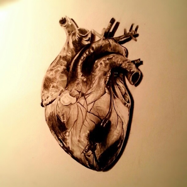 Pencil Heart Drawing Real picvirtual
