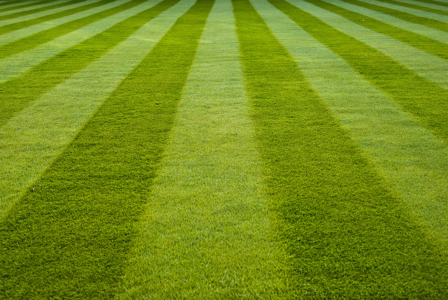 The Millions : Lines of Light and Dark: On Mowing and Writing