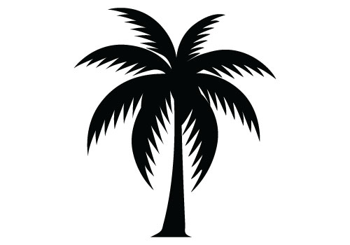 Palm Tree Vector Art - Vector Art Library