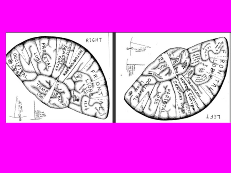 brain-hat-printable-that-are-selective-aubrey-blog