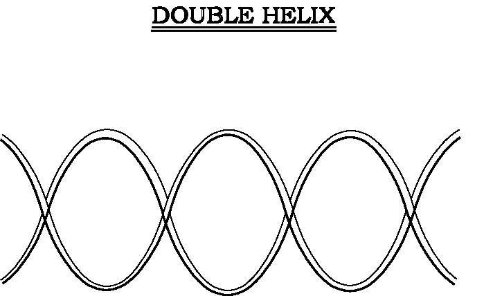 Photo : Double Helix Definition Of Double Helix By Merriam Webster 