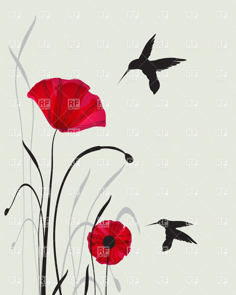 Two hummingbird silhouettes and red hand drawn poppies, 24003 