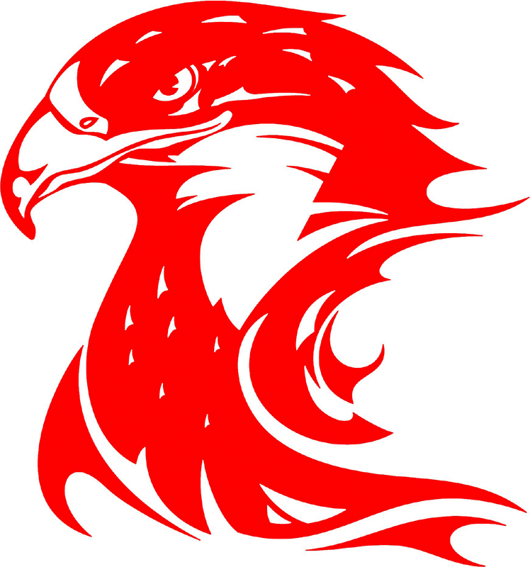 fleh_02 Flaming Eagle Head Graphic Decal Stickers Customized Online