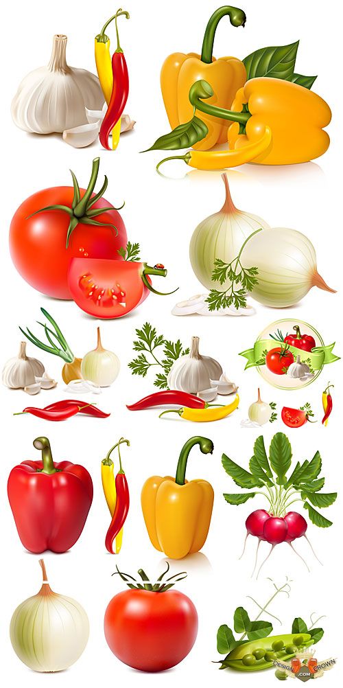 Vegetables, garlic, peppers, onions, tomatoes - Stock photo