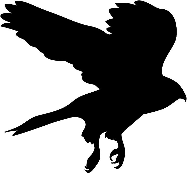 silhouette of Hawk in flight hunging | getekende vogels | Clipart library