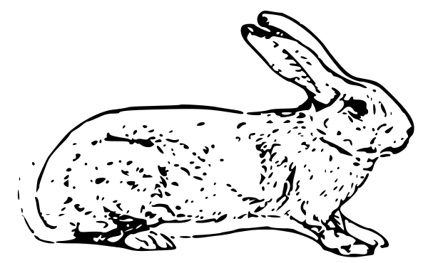 Free Rabbit Clipart, 1 page of Public Domain Clip Art