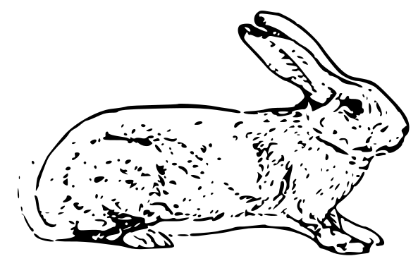 rabbit black and white clip art