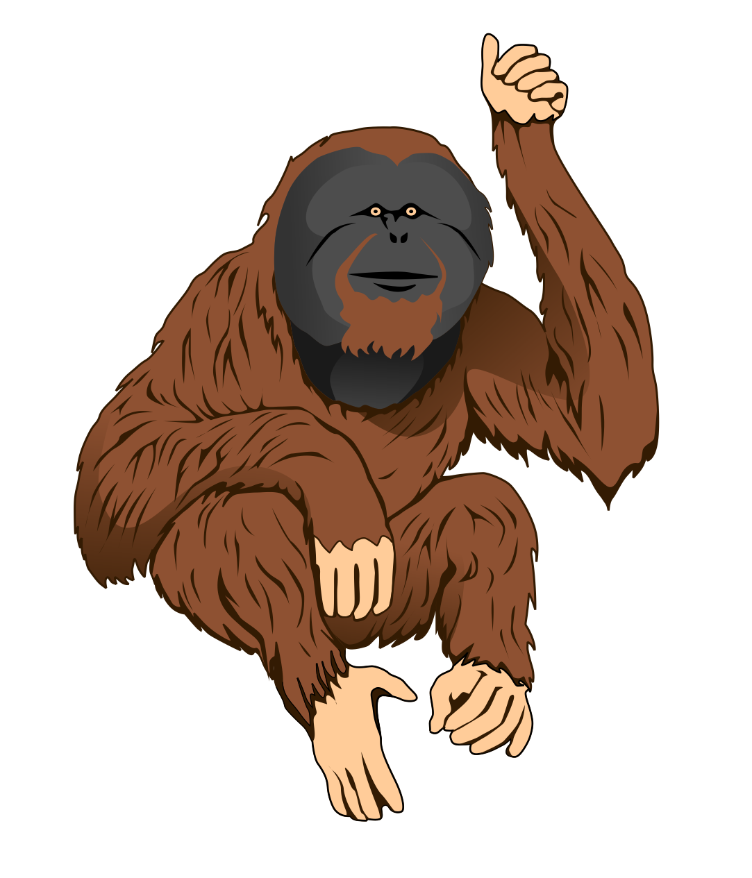 Free Cartoon Orangutan, Download Free Cartoon Orangutan png images, Free  ClipArts on Clipart Library