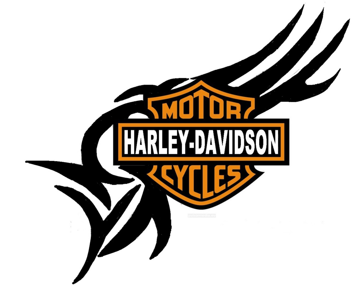 Harley Davidson Biker Bike Large Temporary Face Body Tattoo Lasts 
