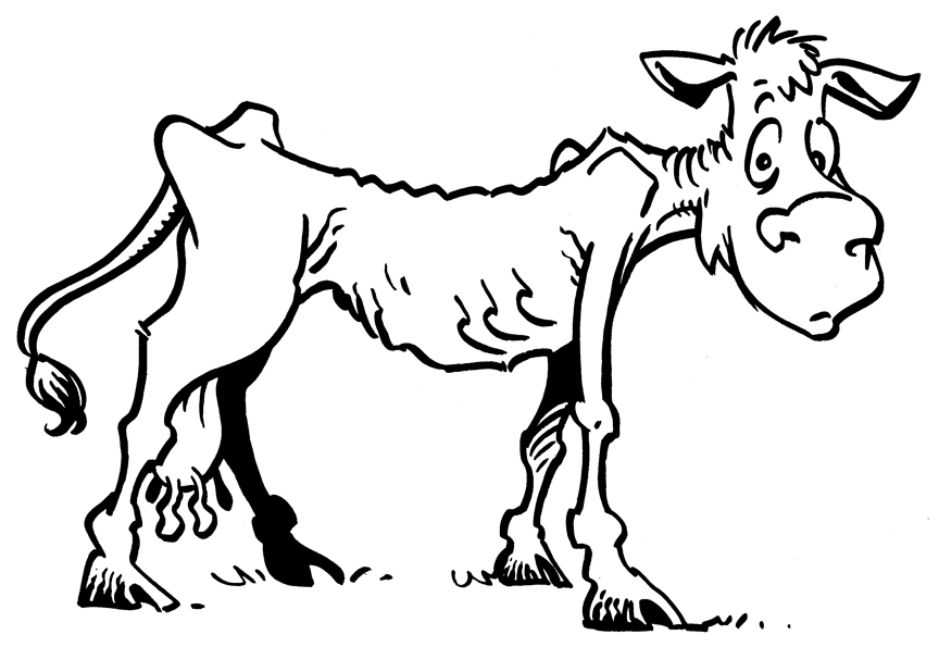 Practical Faith: Lean cows and laziness
