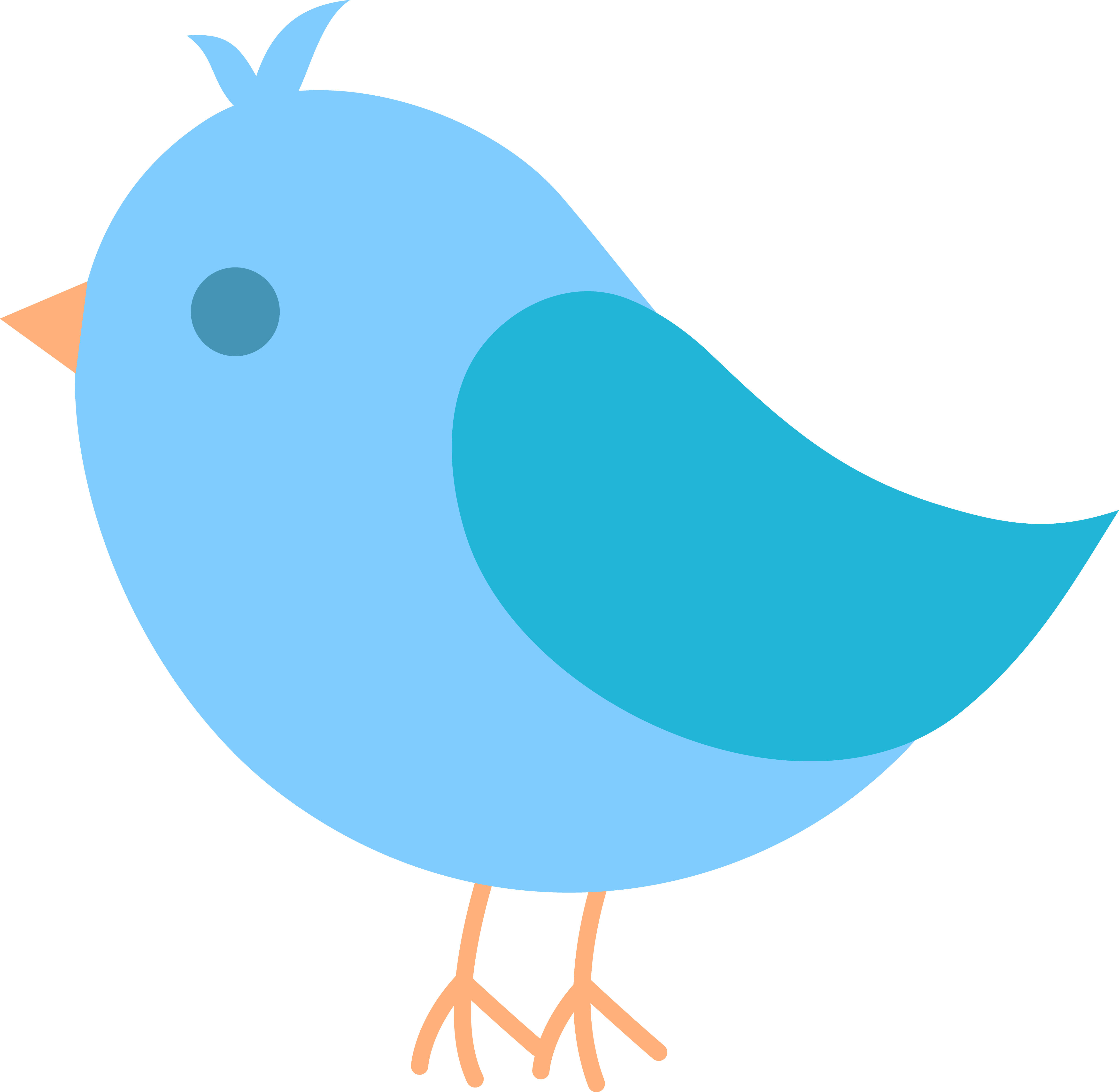 Free Bird Cartoon Png, Download Free Bird Cartoon Png png images, Free