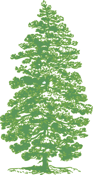 Green Pine Tree clip art - vector clip art online, royalty free 