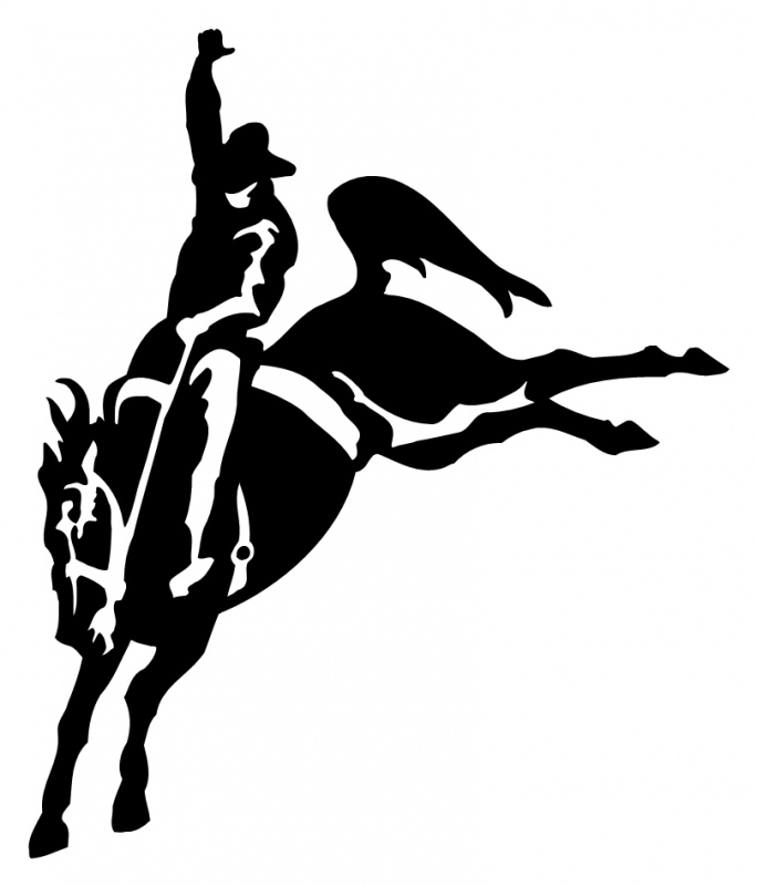 RODEO HORSE 0682 Self adhesive vinyl Sticker Decal | Signs by Post