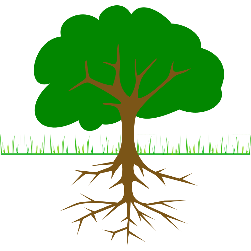 Clipart - tree branches and root 01r