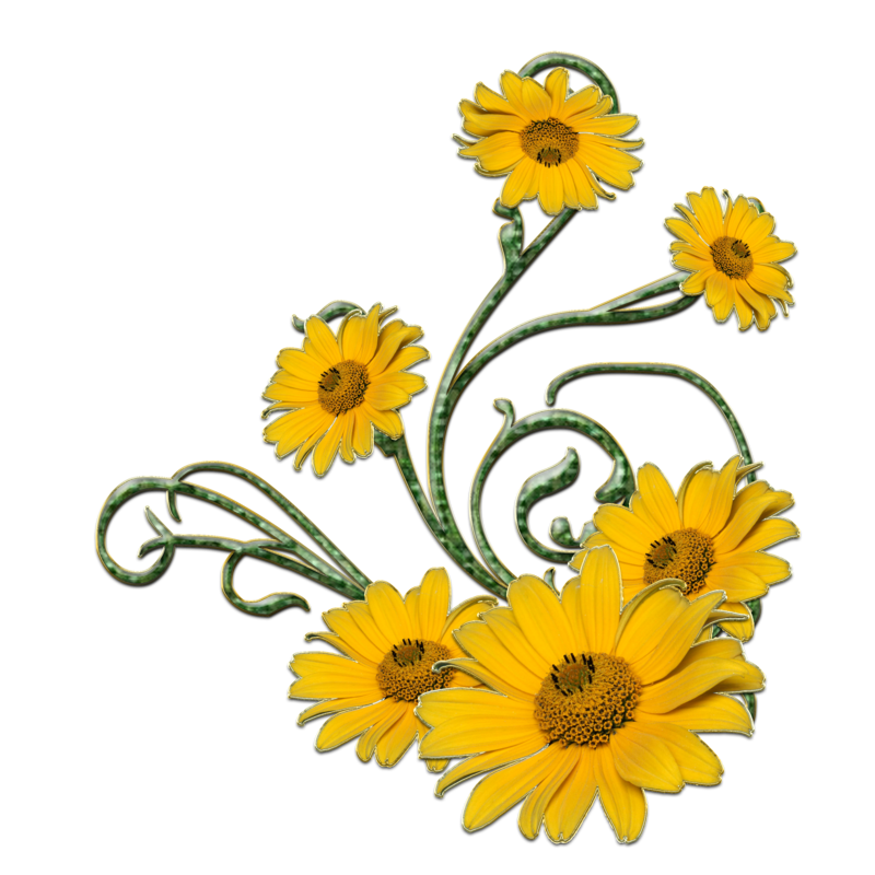 Clipart library: More Like yellow flower and green swirls png by Melissa-tm