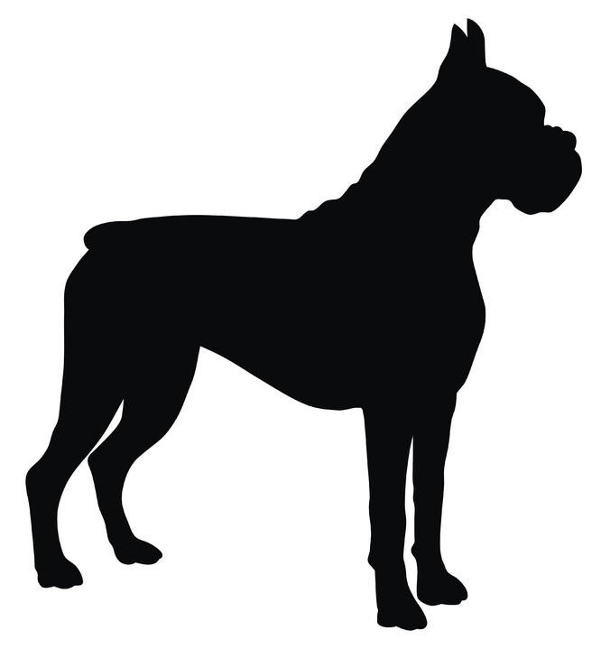 Boxer silhouette | Dogs Rule | Clipart library