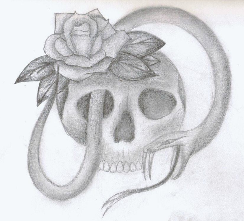 Simple Skull And Rose Drawing - Gallery