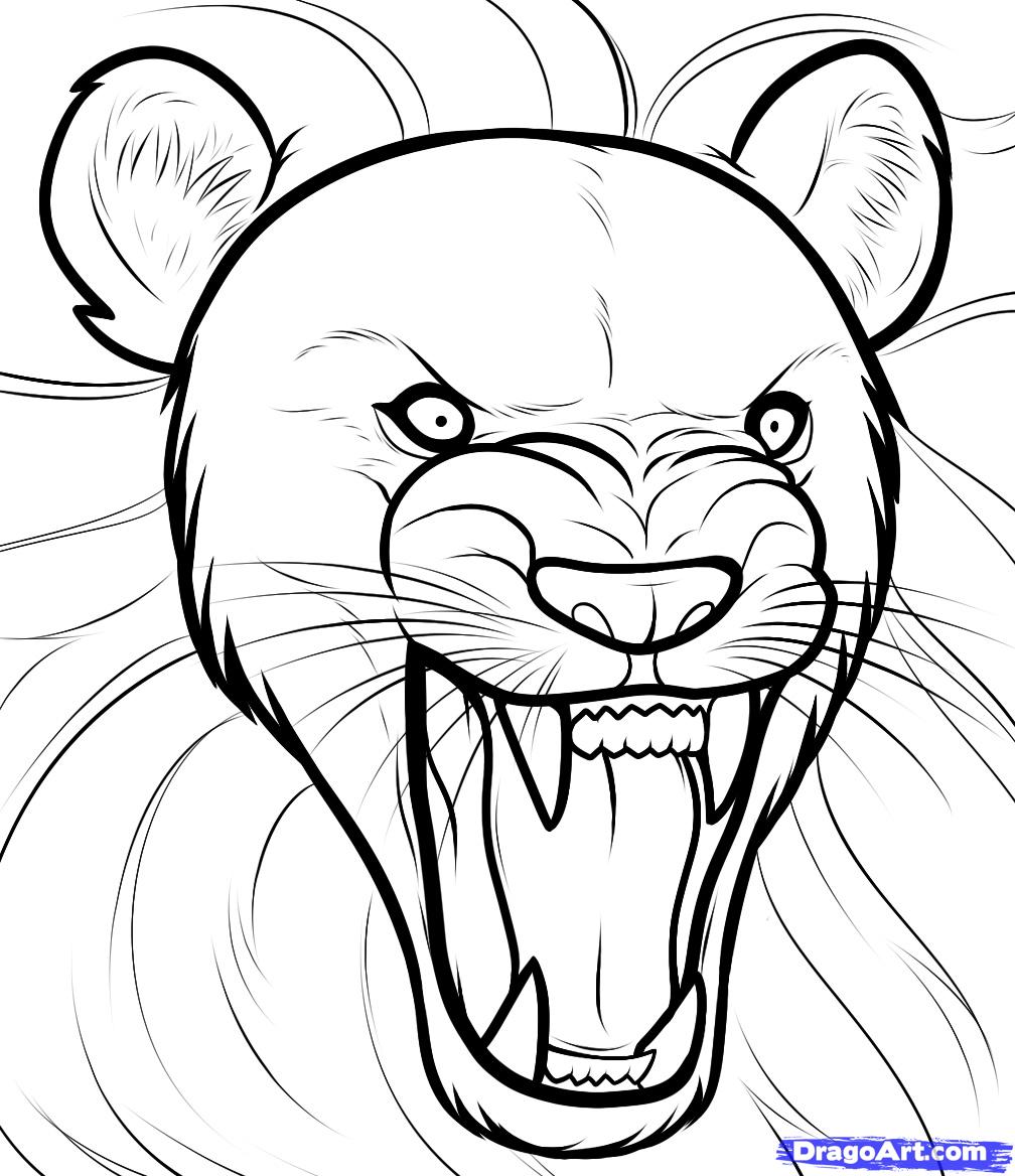 Free How To Draw A Lion, Download Free How To Draw A Lion png images