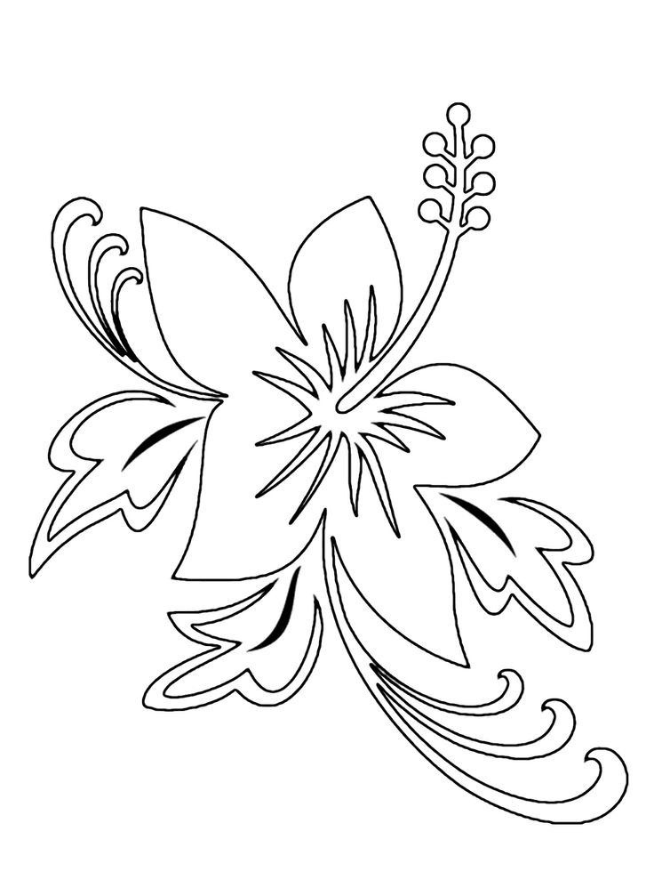 Tropical Flower Coloring Pages | Craft and dyi | Clipart library