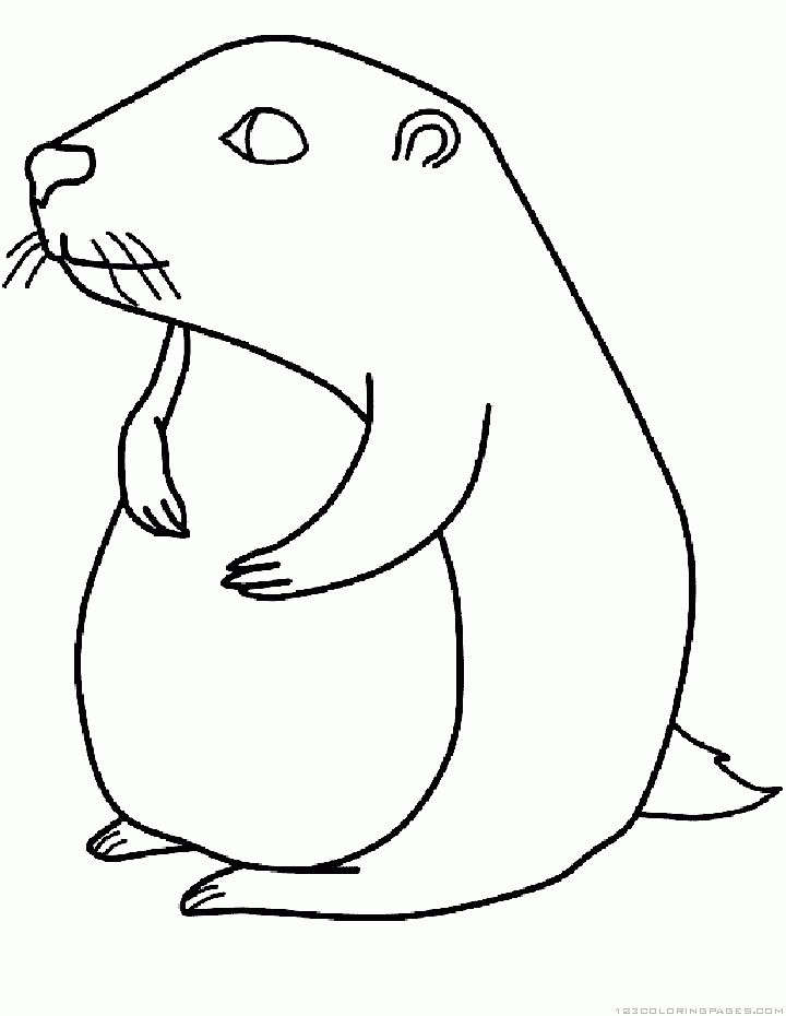 How To Draw A Groundhog Step By Step