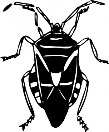 Bug clip art - Download free Other vectors