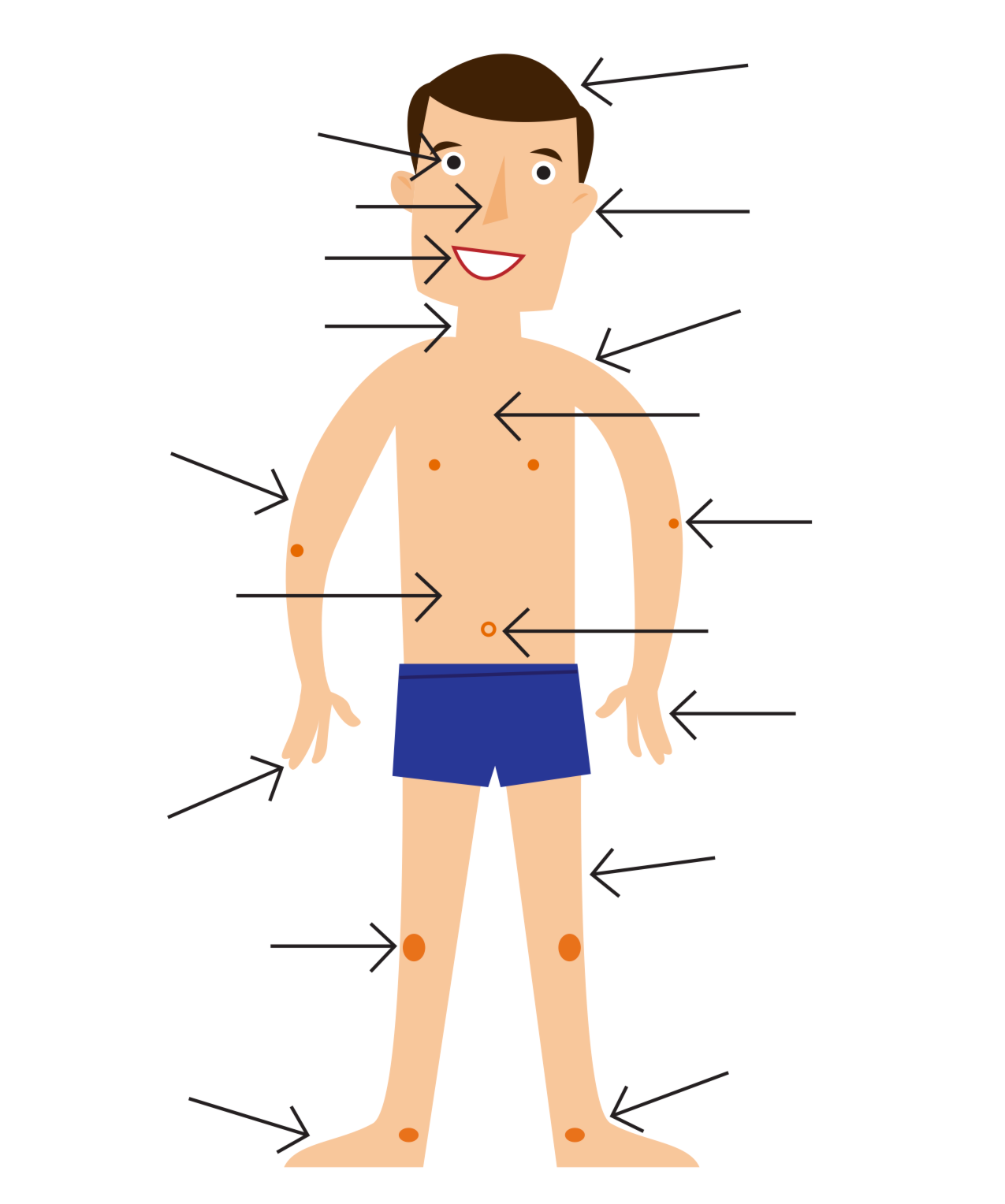 Free Parts Of The Body, Download Free Parts Of The Body png images