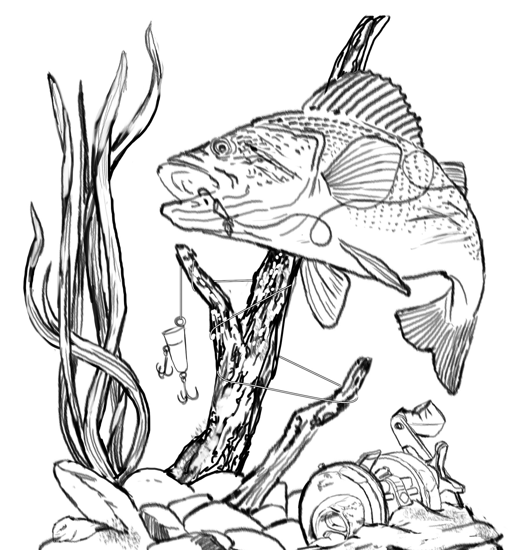 Fish For Drawing - Clipart library