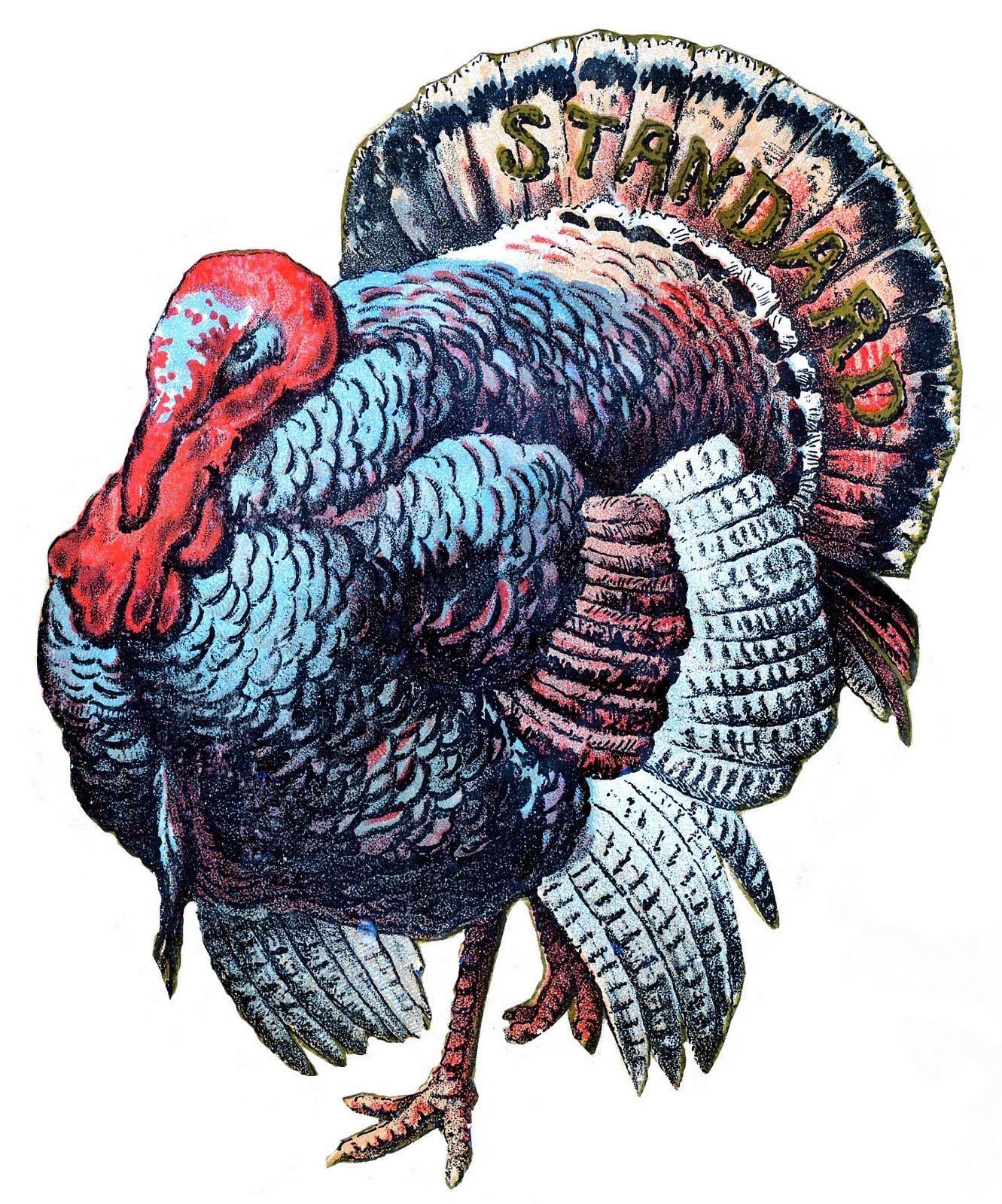 Vintage Turkey Clip Art Library