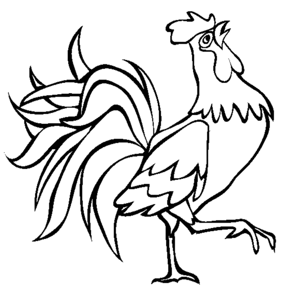 Little Rooster Farm Animal Coloring Pages - Animal Coloring pages 