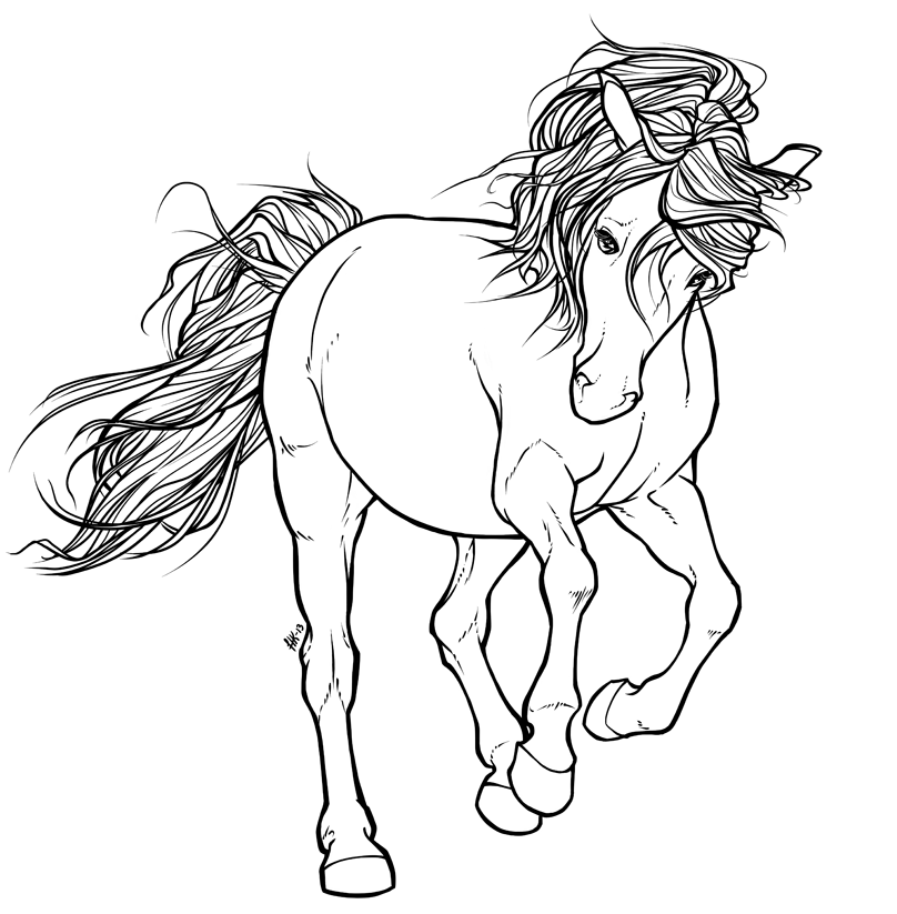 Collection of Horse Line Art (70) .