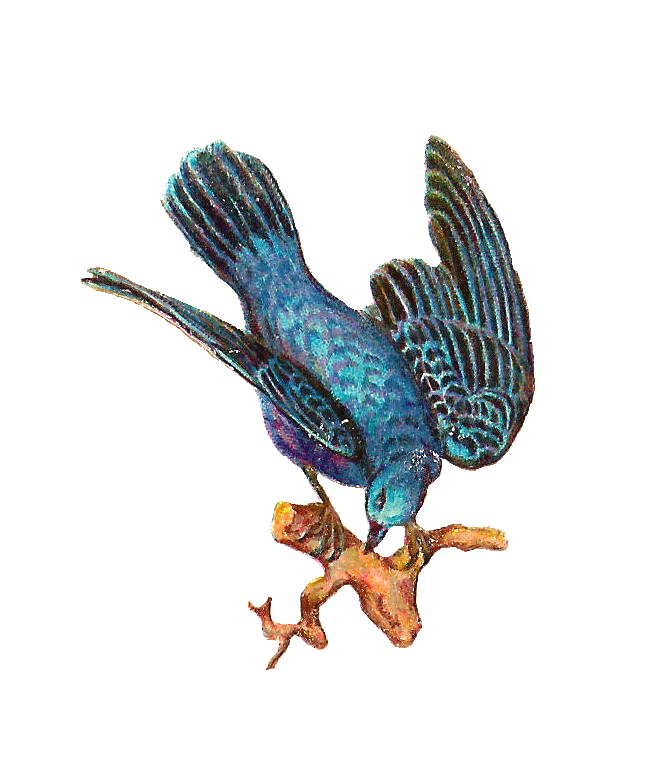 Antique Images: Free Bird Clip Art: Antique Bird Image of Blue 