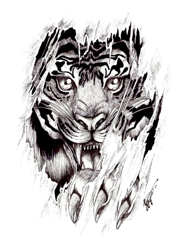 cool tiger tattoo designs - Clip Art Library