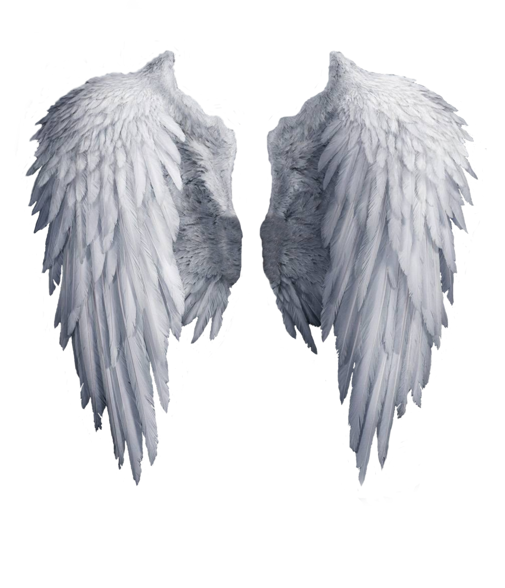 black angel wings stock PNG by Shadow-of-Nemo on Clipart library