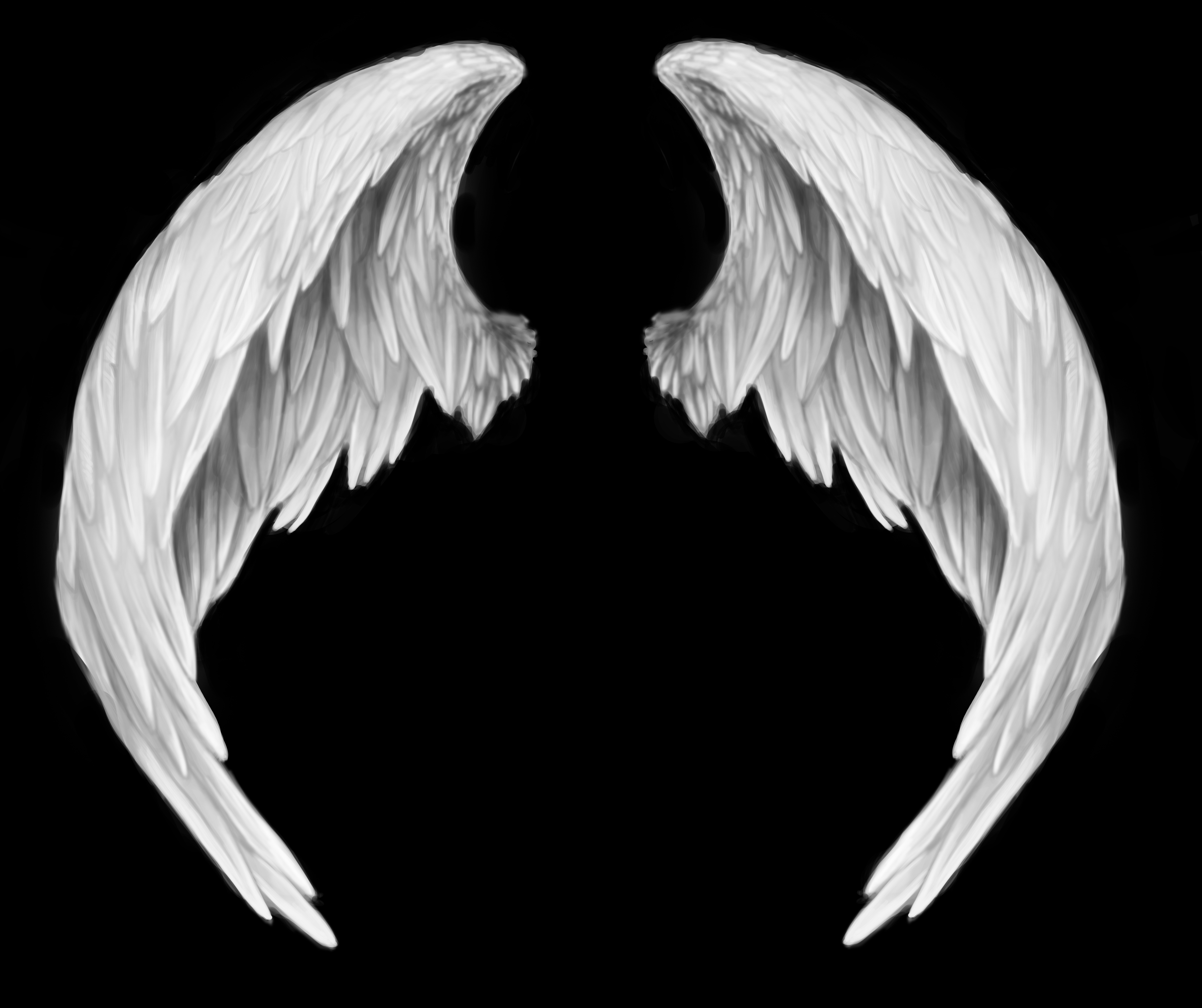 white angel wings png.