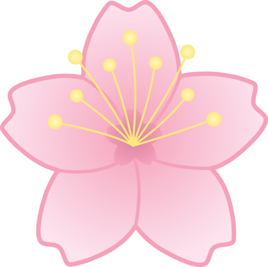 Free Sakura Flower Drawing Download Free Clip Art Free Clip Art On Clipart Library